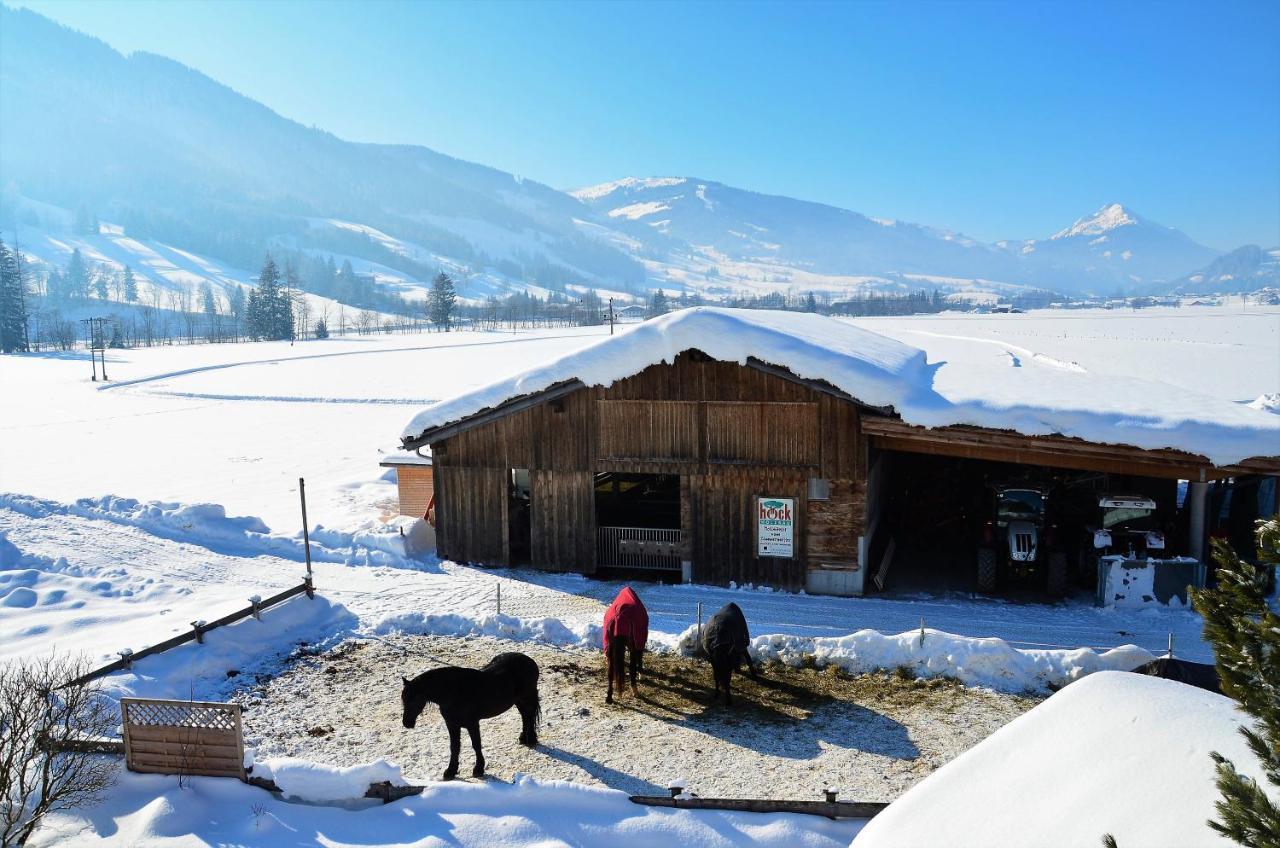 Kleintodlinggut * Leogang