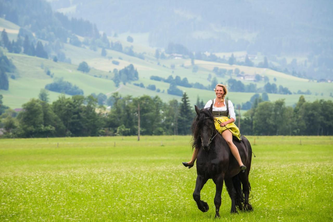 Kleintodlinggut Farm stay *