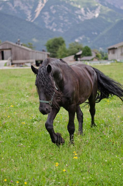 Alloggio per agriturismo Kleintoedlinggut *