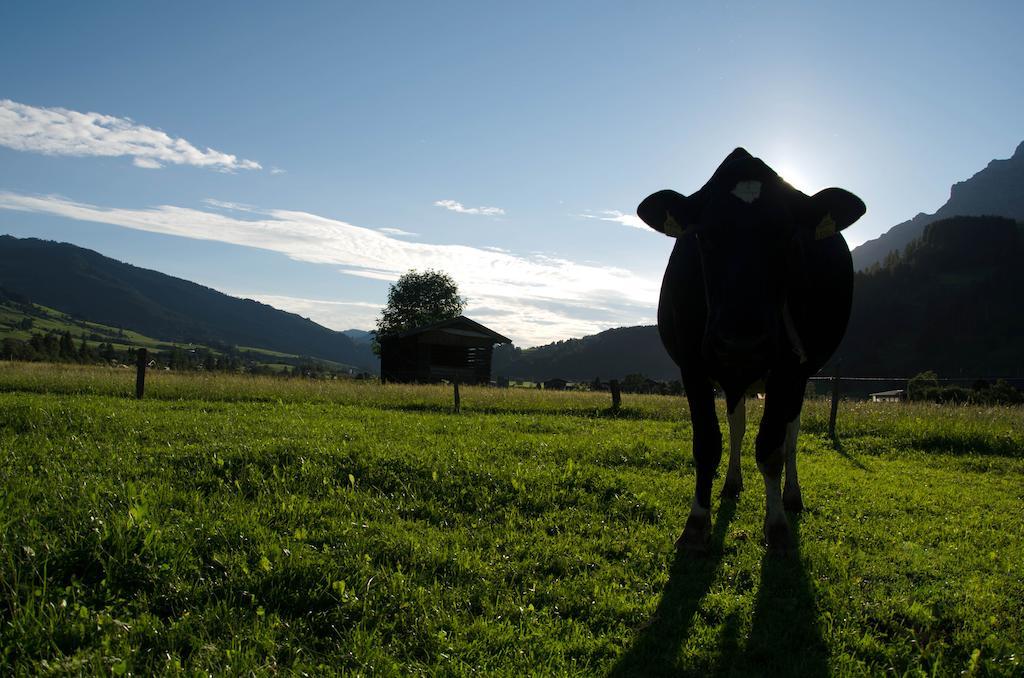 Farm stay Kleintodlinggut Leogang
