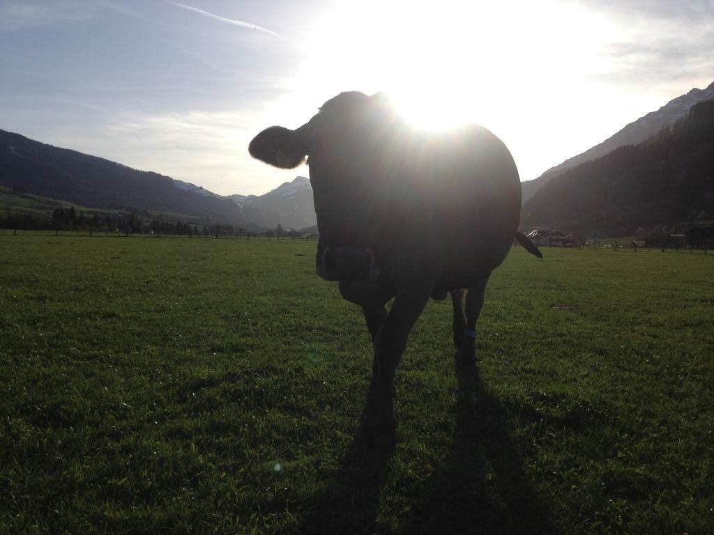 Kleintoedlinggut Alloggio per agriturismo *
