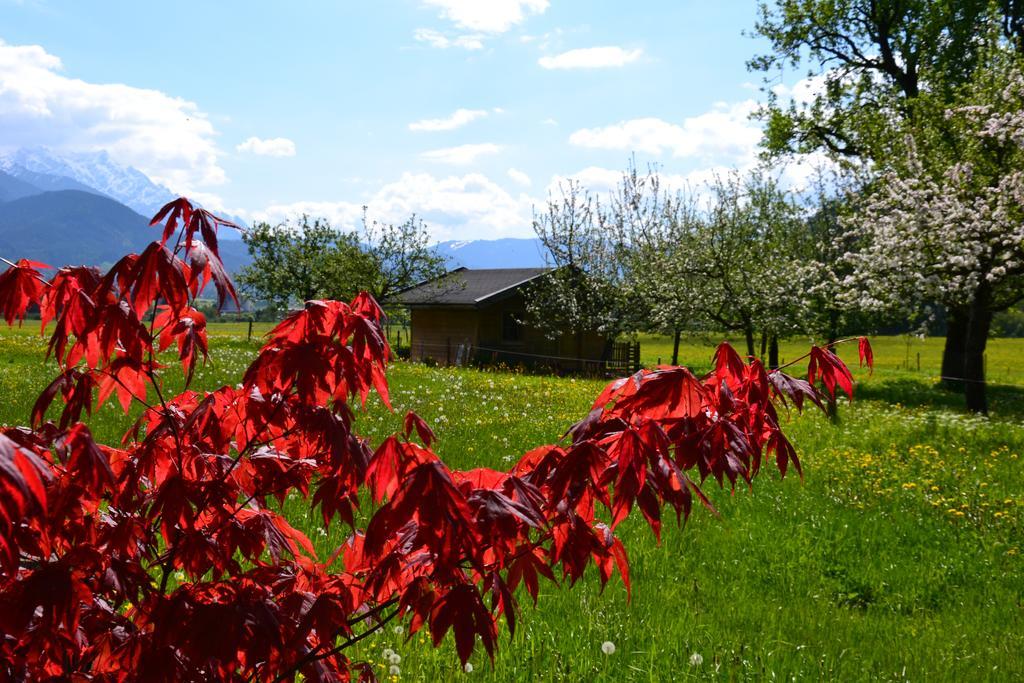 Farm stay Kleintodlinggut